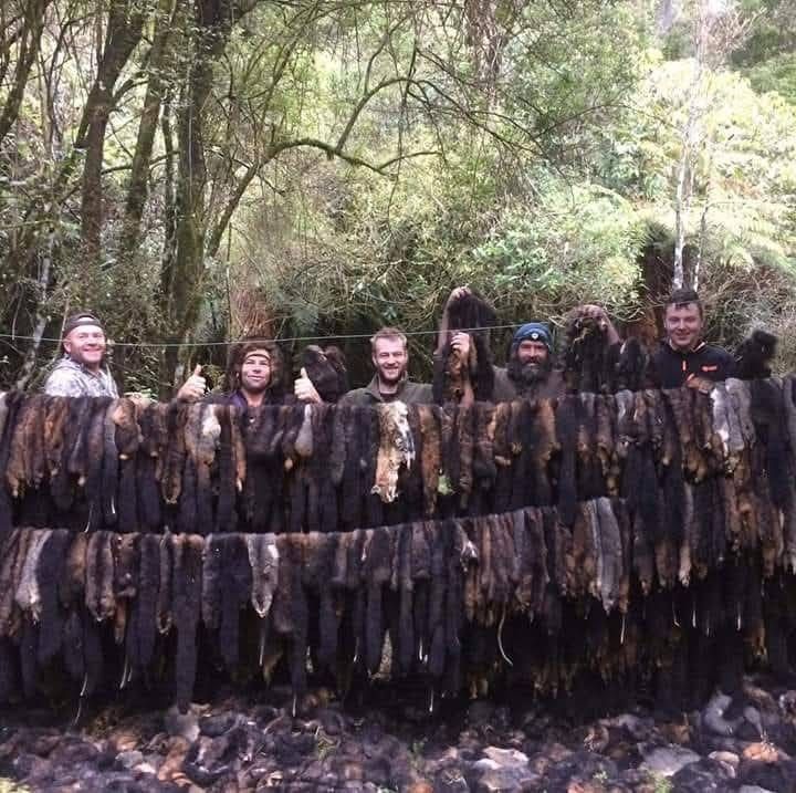 The Bushman with the team and a day's catch